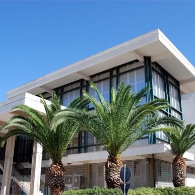 Edificio della biblioteca comunale di Paceco con palme, sede dell'allestimento dell'Antiquarium
